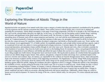 Essay on Exploring the Wonders of Abiotic Things in the World of Nature