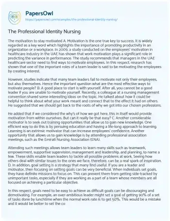 Essay on The Professional Identity Nursing