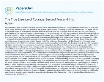 Essay on The True Essence of Courage: Beyond Fear and into Action