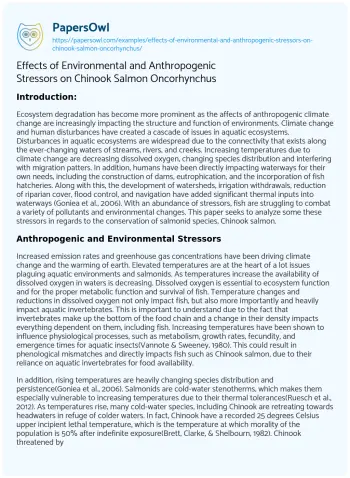 Essay on Effects of Environmental and Anthropogenic Stressors on Chinook Salmon Oncorhynchus