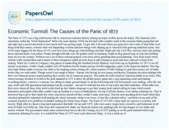 Essay on Economic Turmoil: the Causes of the Panic of 1873