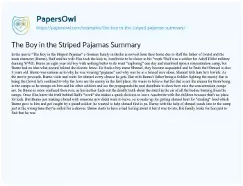 Essay on The Boy in the Striped Pajamas Summary