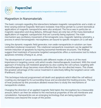 Essay on Magnetism in Nanomaterials