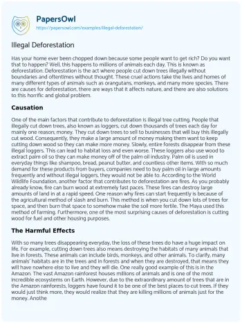 Essay on Illegal Deforestation