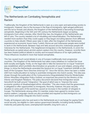 Essay on The Netherlands on Combating Xenophobia and Racism