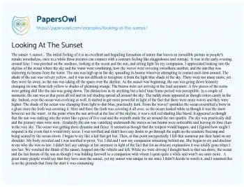 Essay on The Sunset Experience