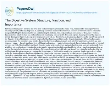 Essay on The Digestive System: Structure, Function, and Importance