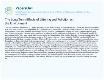 Essay on The Long Term Effects of Littering and Pollution on the Environment