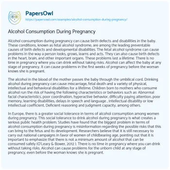 Essay on Alcohol Consumption during Pregnancy