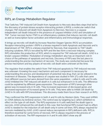 Essay on RIP3, an Energy Metabolism Regulator