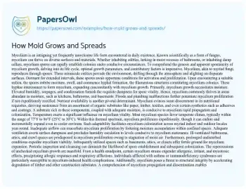 Essay on How Mold Grows and Spreads