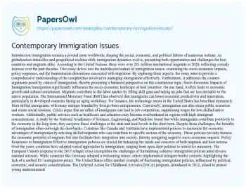 Essay on Contemporary Immigration Issues