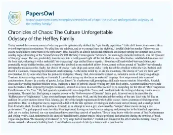 Essay on Chronicles of Chaos: the Culture Unforgettable Odyssey of the Heffley Family