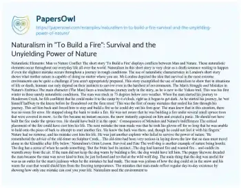 Essay on Naturalism in “To Build a Fire”: Survival and the Unyielding Power of Nature