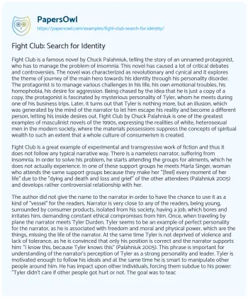 Essay on Fight Club: Search for Identity