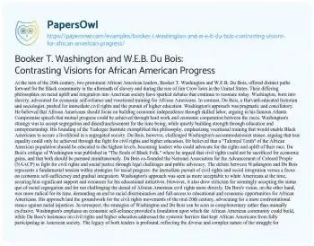 Essay on Booker T. Washington and W.E.B. Du Bois: Contrasting Visions for African American Progress