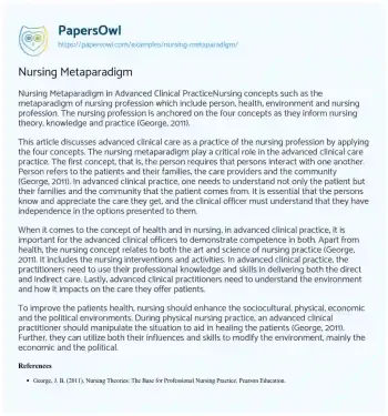 Essay on Nursing Metaparadigm