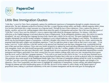 Essay on Little Bee Immigration Quotes