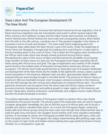 Essay on Slave Labor and the European Development of the New World