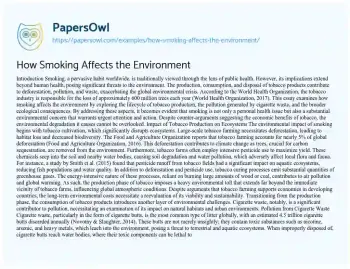 Essay on How Smoking Affects the Environment