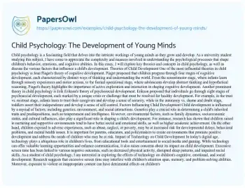 Essay on Child Psychology: the Development of Young Minds
