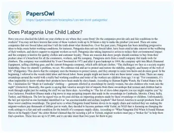 Essay on Does Patagonia Use Child Labor?