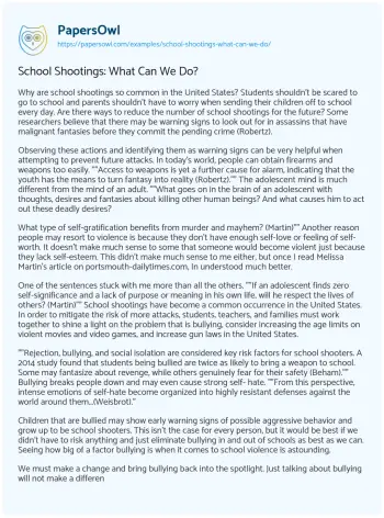 Essay on School Shootings: what Can we Do?