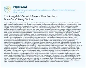 Essay on The Amygdala’s Secret Influence: how Emotions Drive our Culinary Choices