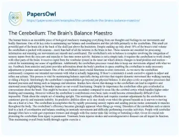 Essay on The Cerebellum: the Brain’s Balance Maestro