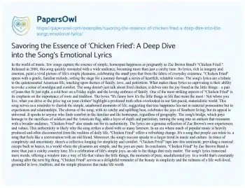 Essay on Savoring the Essence of ‘Chicken Fried’: a Deep Dive into the Song’s Emotional Lyrics