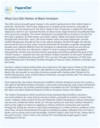 Essay on What Zora Did: Mother of Black Feminism