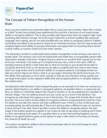 Essay on The Concept of Pattern Recognition of the Human Brain