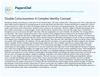 Essay on Double Consciousness: a Complex Identity Concept