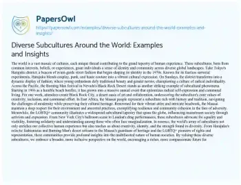 Essay on Diverse Subcultures Around the World: Examples and Insights