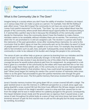 Essay on What is the Community Like in the Giver?