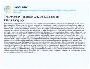 Essay on The American Tongue(s): why the U.S. Skips an Official Language