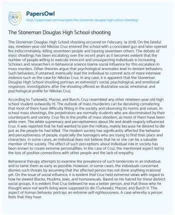 Essay on The Stoneman Douglas High School Shooting