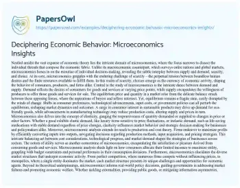 Essay on Deciphering Economic Behavior: Microeconomics Insights