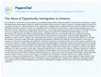 Essay on The Allure of Opportunity: Immigration to America