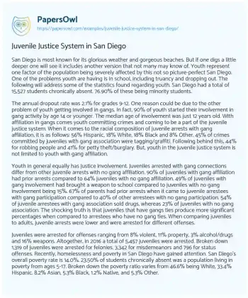 Essay on Juvenile Justice System in San Diego