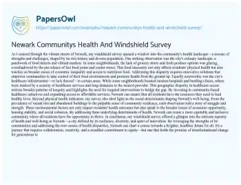 Essay on Newark Communitys Health and Windshield Survey