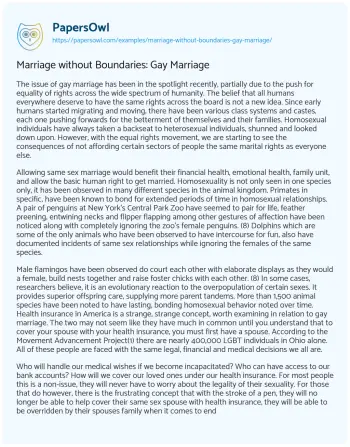 Essay on Marriage Without Boundaries: Gay Marriage