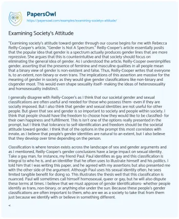 Essay on Examining Society’s Attitude