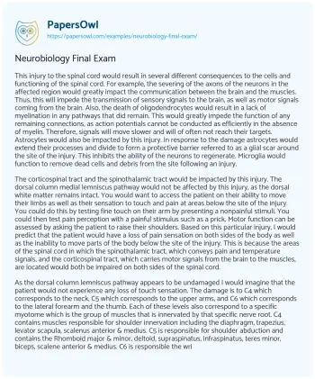 Essay on Neurobiology Final Exam