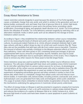 Essay on Essay about Resistance to Stress