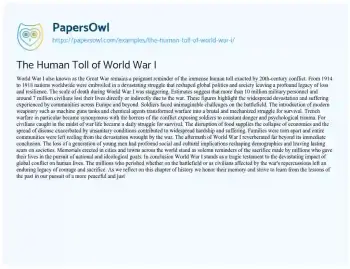 Essay on The Human Toll of World War i