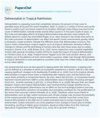 Essay on Deforestation in Tropical Rainforests