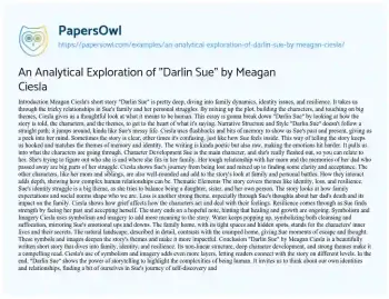 Essay on An Analytical Exploration of “Darlin Sue” by Meagan Ciesla