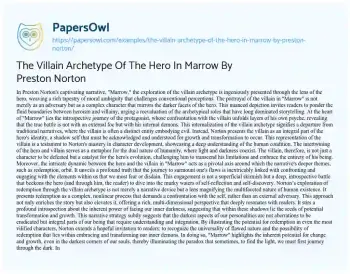 Essay on The Villain Archetype of the Hero in Marrow by Preston Norton