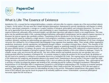 Essay on What is Life: the Essence of Existence